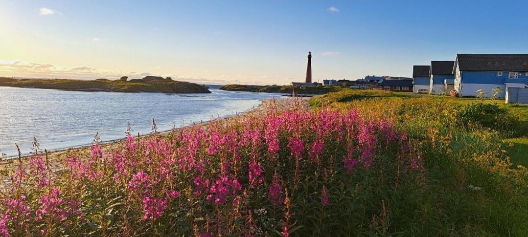 Sentral Studioleilighet Ved Stranden Og Hvalsenter Nb Ma Vaskes Etter Endt Leie Eller Betale Rengjoringshjelpen 500 Kr Andenes Extérieur photo