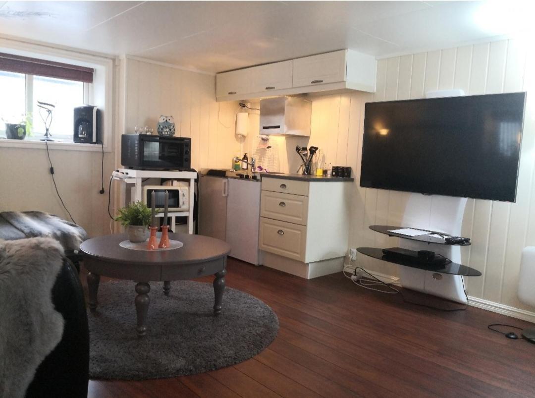 Sentral Studioleilighet Ved Stranden Og Hvalsenter Nb Ma Vaskes Etter Endt Leie Eller Betale Rengjoringshjelpen 500 Kr Andenes Extérieur photo